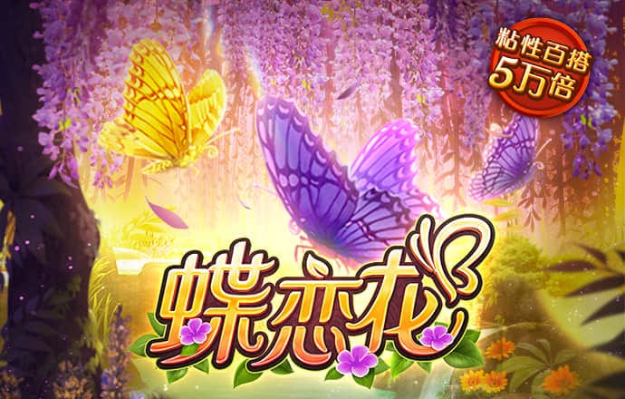 58彩票手机安卓版下载