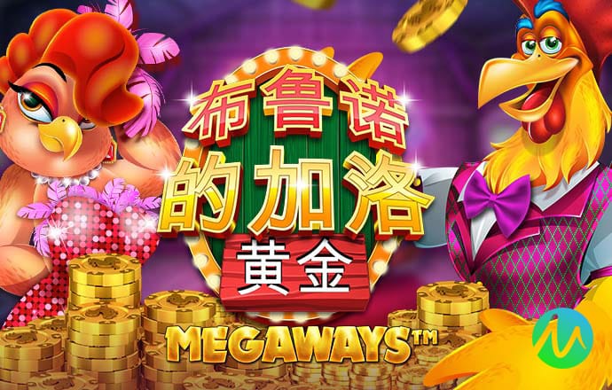 凤凰彩票vip官方免费下载