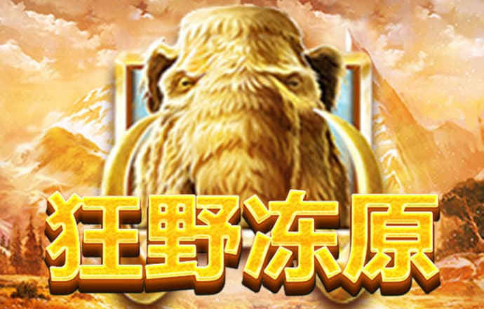 4556银河国际